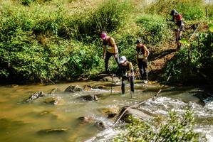 BIB: 
                            <button type="button" onclick="openModal(19338456)" class="btn btn-primary btn-sm float-right btn-popup" data-toggle="modal" data-target=".modal-high-quality">
                        <i class="fas fa-shopping-cart"></i> Add to Cart
                    </button>
                                            <button type="button" onclick="isThisMe(19338456, true)" class="btn btn-success btn-sm float-right btn-popup btn-isme hidden" data-toggle="tooltip" data-placement="bottom" title="นี่คือรูปของคุณใช่ไหม คลิกที่นี่เพื่อเอาเข้าอัลบั้ม">
                        <i class="fas fa-plus"></i> Add to album
                    </button>
                    <button type="button" onclick="isThisMe(19338456, false)" class="btn btn-warning btn-sm float-right btn-popup btn-isnotme hidden">
                        <i class="fas fa-ban"></i> Remove from album
                    </button>